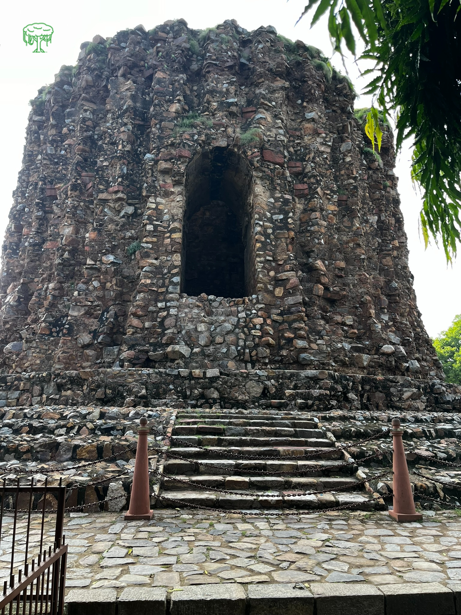 banner-image