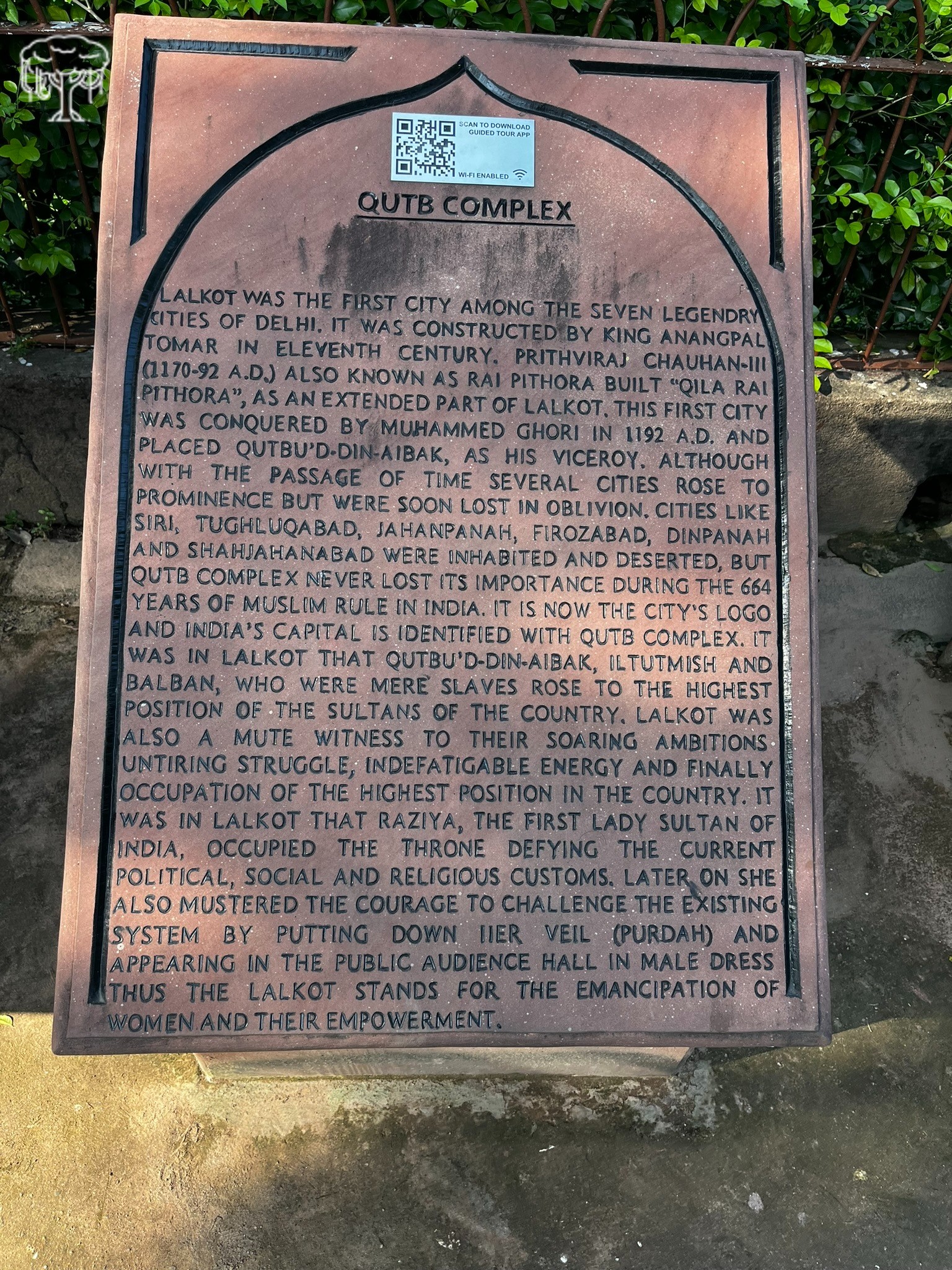 banner-image