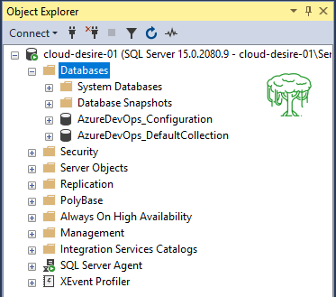 sql31